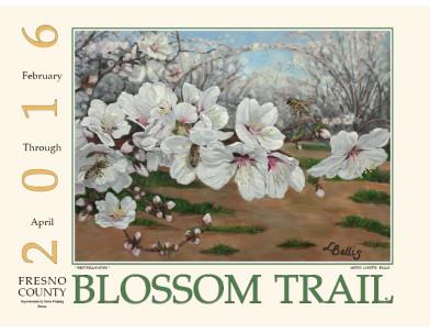 Blossom-Trail-poster
