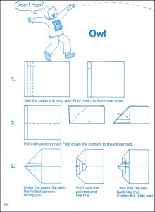 zoom owl plane
