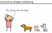 raining cats and dogs