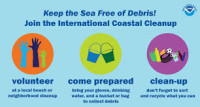 coast clean up how to