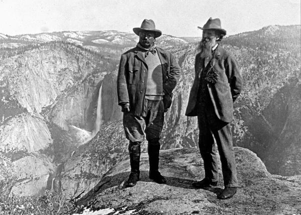 Yosemite Muir-and-Roosevelt