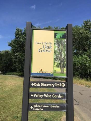 davis oak grove