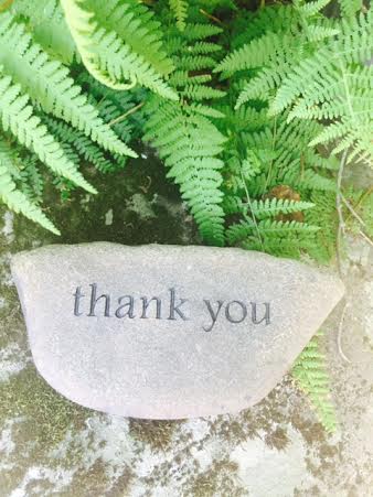 words thank you with fern