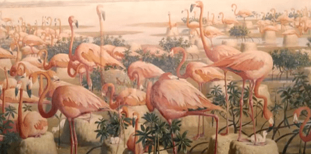 birds birding-artists-video-flamingoes_imagelarge
