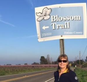 blossom trail sign