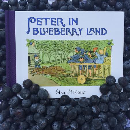 blueberry land